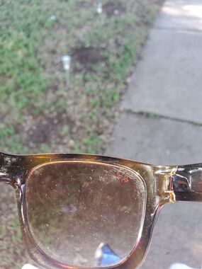 Ray-Ban Women's Translucent Tortoise Brown Square Glasses